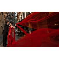 Ảnh cưới ở Sydney của nghệ sĩ xăm hình