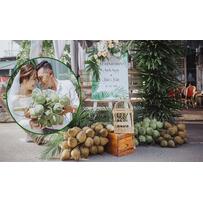Lễ đính hôn với 400 trái dừa ở Bình Dương Lễ đính hôn với 400 trái dừa ở Bình Dương