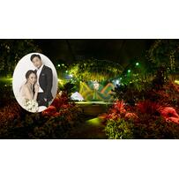 Tiệc cưới khu rừng tình yêu của Đàm Thu Trang - Cường Đôla Tiệc cưới khu rừng tình yêu của Đàm Thu Trang - Cường Đôla