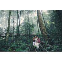 Ảnh cưới phong cách Bô-hê-miêng hoang dã