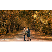 Ảnh cưới mùa lá vàng Bình Dương ngỡ là cảnh sắc thu Hàn Quốc