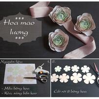 Hướng dẫn làm backdrop hoa giấy với hoa mao lương quyến rũ