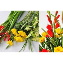 Cách cắm hoa ngày Tết vừa đẹp vừa dễ cho người chưa có kinh nghiệm