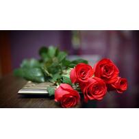 Rước lộc Xuân về nhà với 5 kiểu cắm hoa ngày Tết siêu sáng tạo