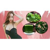 Đầu tuần 50kg, cuối tuần 45kg nhờ ăn rau ngót theo cách này