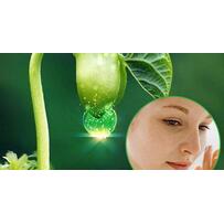 Giải pháp làm mờ nám da nhờ viên phôi mầm đậu nành SoyNa