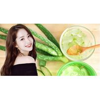 Hết sạch mụn, da căng bóng, trắng mịn chỉ với nắm lá nha đam 10 ngàn đồng