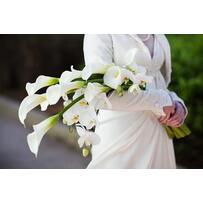 7 kiểu hoa cưới cầm tay đẹp được yêu thích nhất thế giới