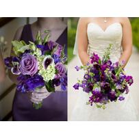 Hoa cưới tháng 2: Nàng hoa violet dịu dàng thủy chung