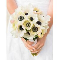 Thông điệp từ 25 loài hoa cưới phổ biến hàng đầu (P1)