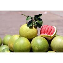 Muốn giảm béo, nên ăn 9 loại quả sau