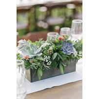 Như thế nào là một đám cưới “GREENERY”? Như thế nào là một đám cưới “GREENERY”?