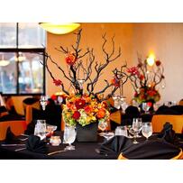 Tiệc cưới chủ đề Halloween ấn tượng cho cặp đôi sáng tạo