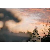 Tiệc cưới riêng tư, lãng mạn giữa biển trời xanh biếc, tại sao không?