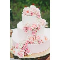 5 loại hoa trang trí bánh cưới vừa ngon vừa tốt cho sức khỏe 5 loại hoa trang trí bánh cưới vừa ngon vừa tốt cho sức khỏe