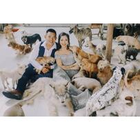 Chụp ảnh cưới cùng thú cưng - xu hướng mới lạ của giới trẻ Chụp ảnh cưới cùng thú cưng - xu hướng mới lạ của giới trẻ