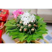 Bài phát biểu trong lễ dạm ngõ 