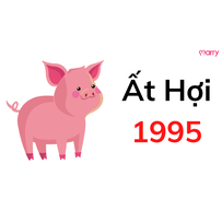 Sinh năm 1995 (ất hợi) hợp với tuổi nào ? tất tần tật về xem tuổi lấy vợ, cưới chồng nam nữ 1995 Sinh năm 1995 (ất hợi) hợp với tuổi nào ? tất tần tật về xem tuổi lấy vợ, cưới chồng nam nữ 1995