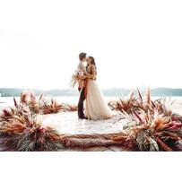 Elopement wedding là gì? tổ chức ở đâu và dành cho ai? Elopement wedding là gì? tổ chức ở đâu và dành cho ai?