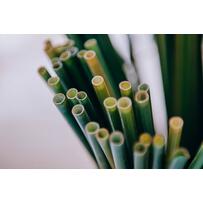 Những tiệc cưới dùng ống hút eco-friendly giúp bảo vệ môi trường Những tiệc cưới dùng ống hút eco-friendly giúp bảo vệ môi trường
