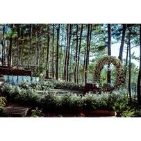 Tìm hiểu phong cách eco-friendly wedding là gì?